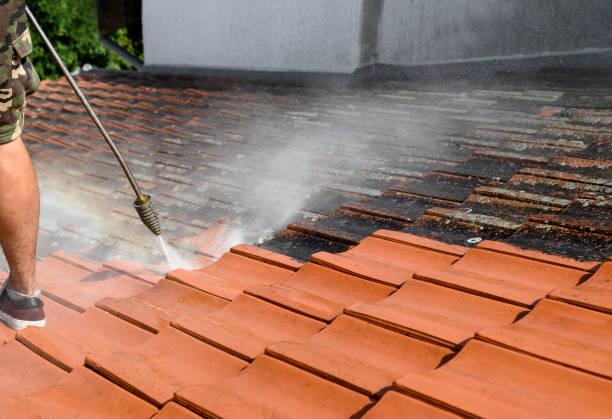 Best Best Pressure Washing Companies  in Ishpeng, MI