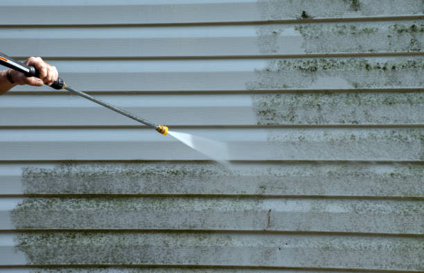 Best Roof Power Washing Services  in Ishpeng, MI
