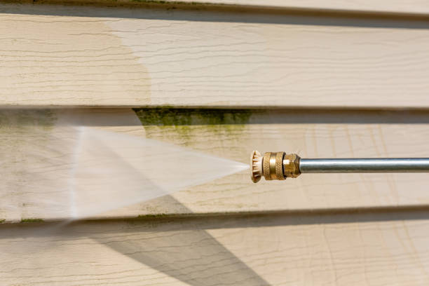 Best Affordable Pressure Washing  in Ishpeng, MI